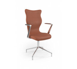 Konferenční židle Burano Plus leštěná Vega 02 velikost 7