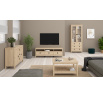 TV Stolek Real 668 jackson hickory